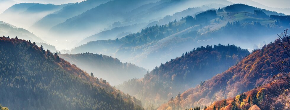 Bezaubernder Hochschwarzwald - Zwischen Schluchsee und Feldberg