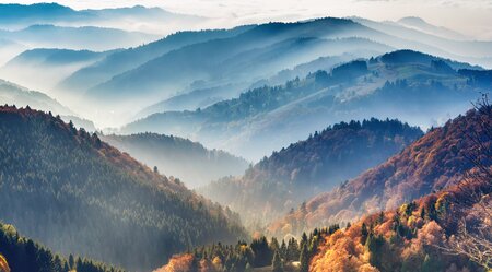 Bezaubernder Hochschwarzwald - Zwischen Schluchsee und Feldberg