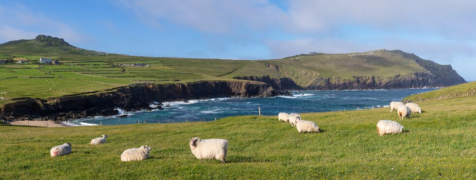 Dingle Way
