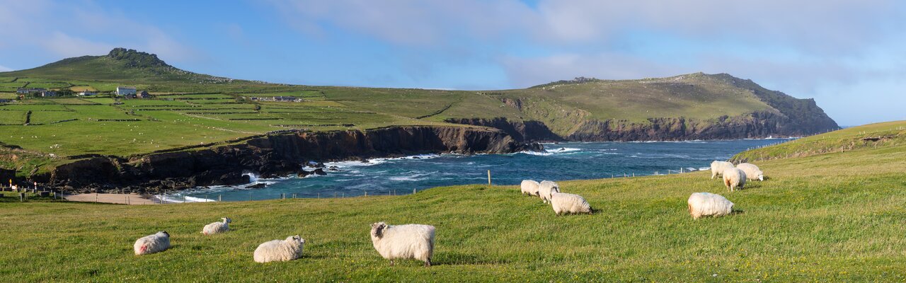 Dingle Way Dingle Way