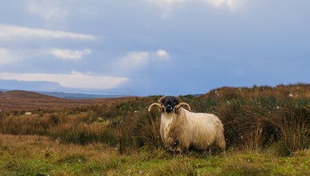 Donegal Blue Stack 5 Tage