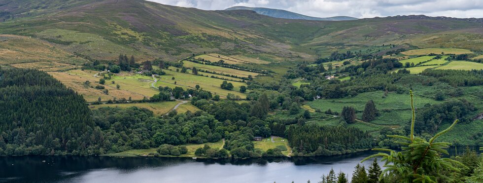 Wicklow Way 