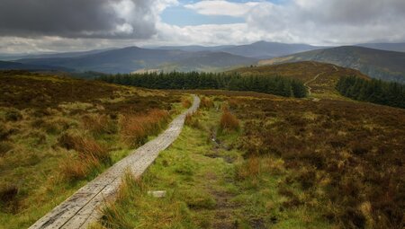 Wicklow Way 5 Tage
