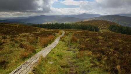 Wicklow Way 5 Tage