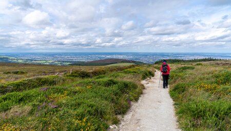 Wicklow Way & Dublin 8 Tage