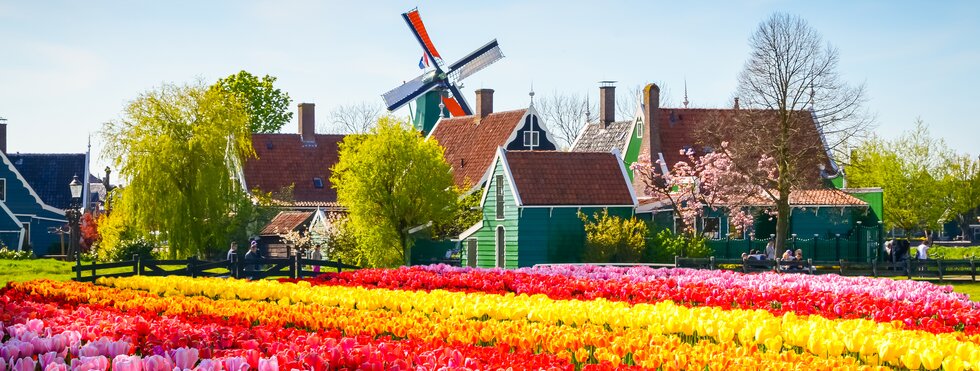 Tulpen Keukenhof, Niederlande