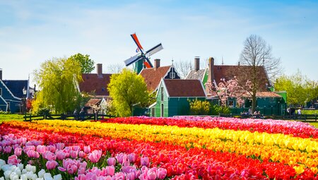 MS SE-Manon - Frühjahrserwachen in Holland und Belgien