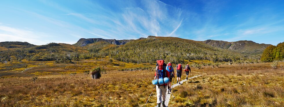 Overland Track Tasmanien Australien