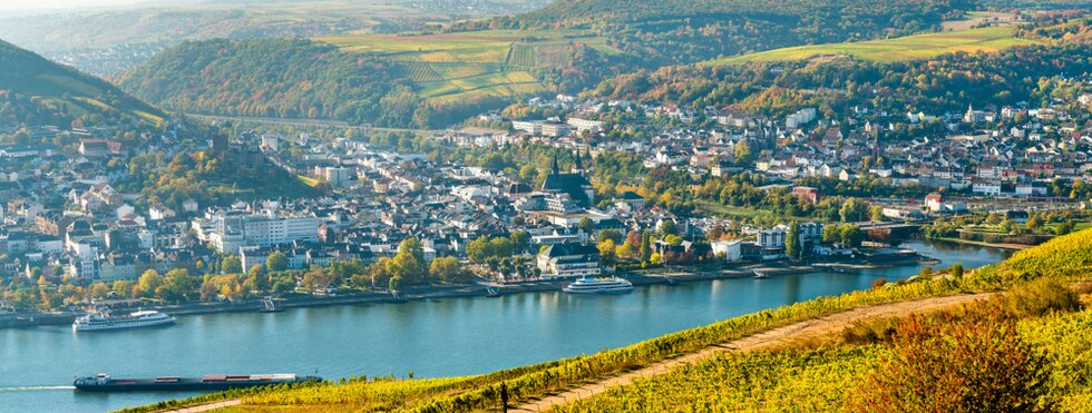 Blick auf den Rhein bei Rüdesheim