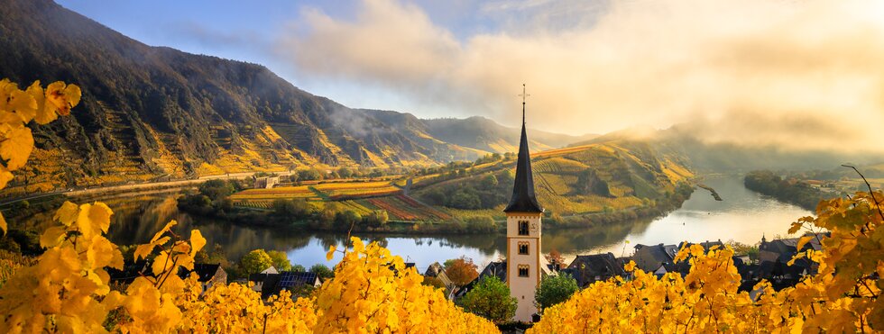 Mosel und Weinberge im Herbst