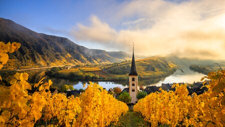 MS SE-Manon - Winzer und Weinberge an der Mosel