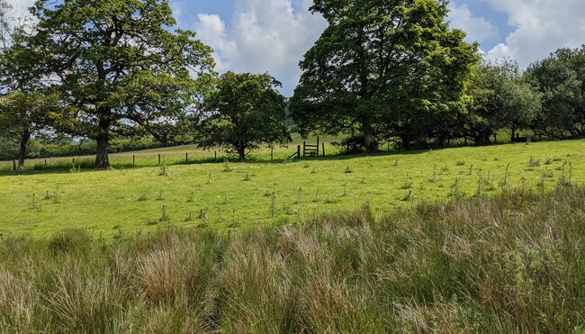 Landschaft Nordost Wales