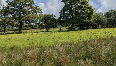 Wales individuell - North East Wales Heritage Trail