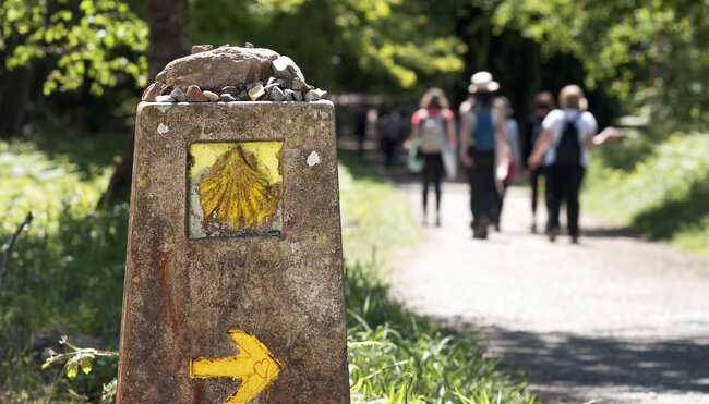 Jakobsweg - Nördlicher Weg: Vilalba-Santiago - 8 Tage