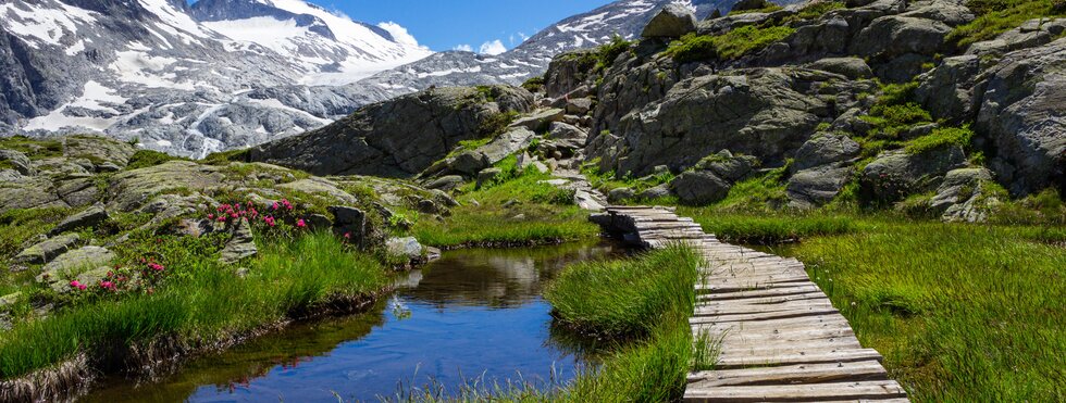 Holzsteeg über Moor und Gletscher bei der Mandrone Hütte