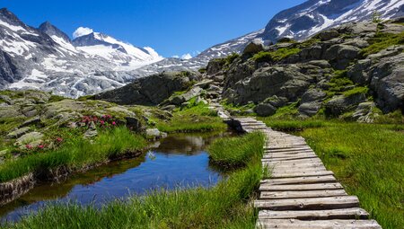Geführte Gletscherwanderung Alpen - Adamello