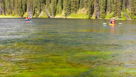 Kanureise auf verborgenen Flüssen - Der Beaver River