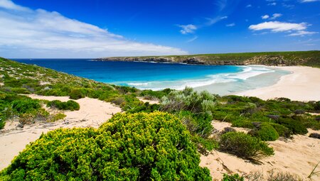 Kangaroo Island Wilderness Trail