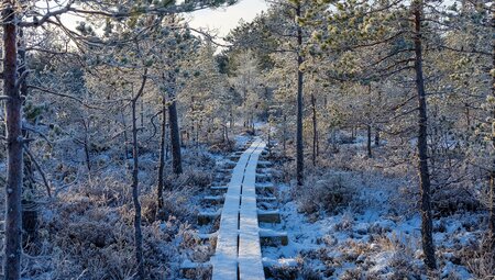 Schnee und Sauna - Winterabenteuer in Estland