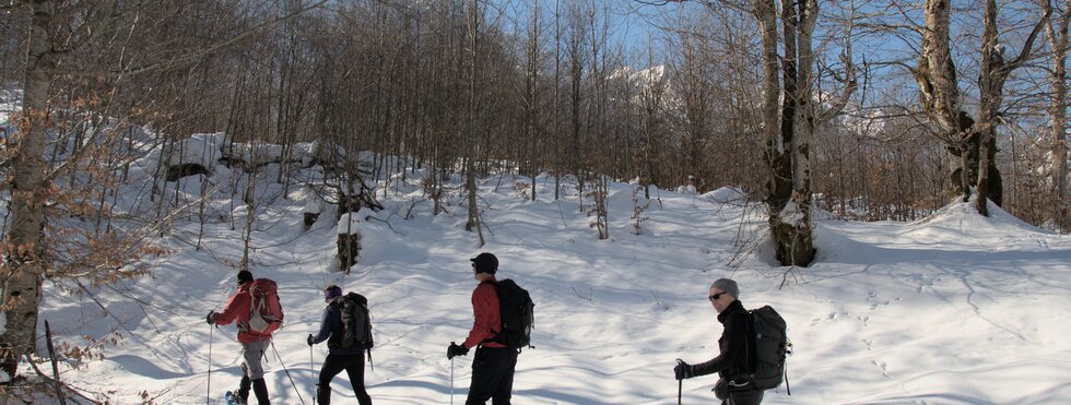 Albanien: Schneeschuhwanderer im Wald 