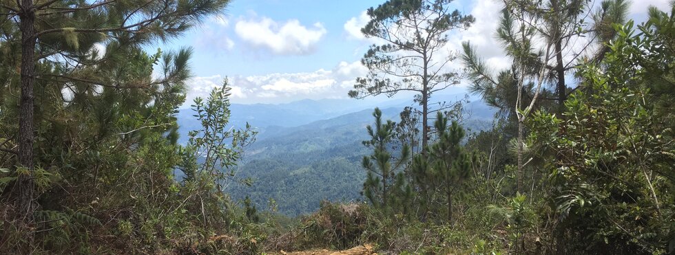 Wanderweg Pico Duarte