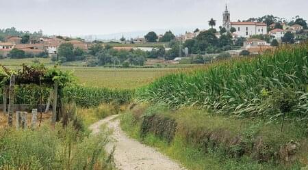 Jakobsweg - Portugiesischer Weg: Porto-Tui - 7 Tage