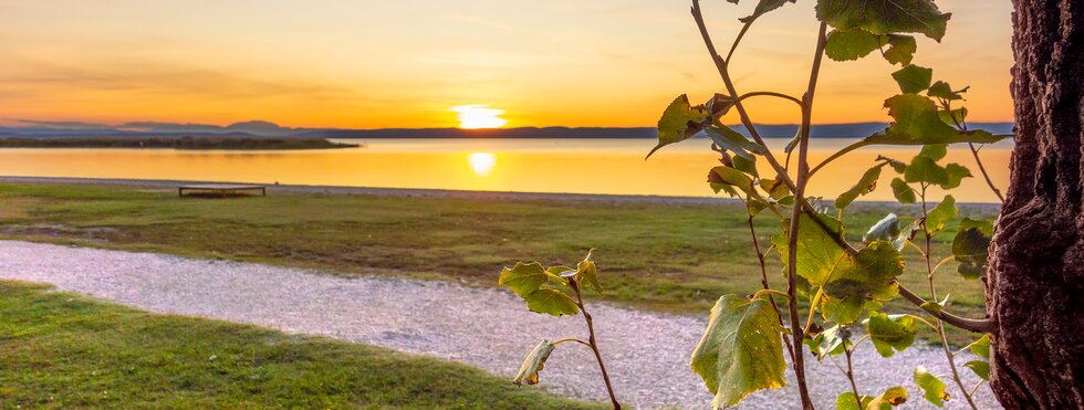 Sonenuntergang am Neusiedlersee bei Podersdorf