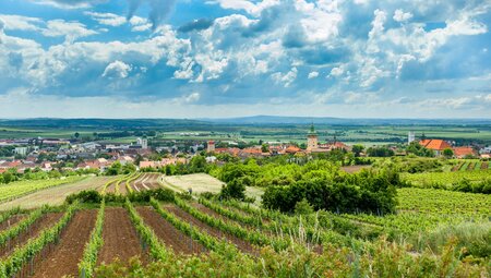 Weinviertel Sternfahrt