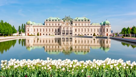 Wien Sternfahrt - Das Beste von Wien