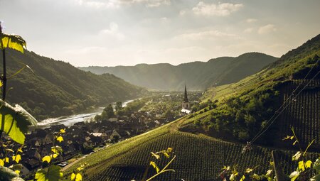 Moselsteig mit Charme - Zwischen Eifel und Hunsrück