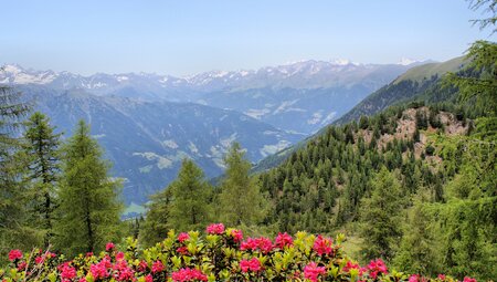 Alpenüberquerung E5 Oberstdorf-Meran mit Charme