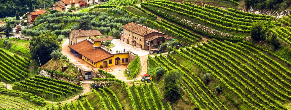  Valpolicella Veneto