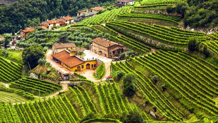 Von Verona zum Gardasee - Weinwandern im Valpolicella