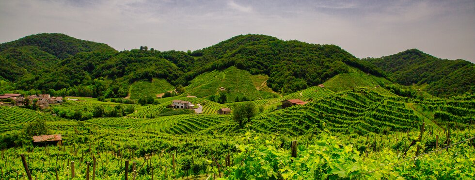 Prosecco Region 