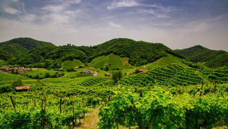 Rundreise Prosecco - Kurzurlaub mit dem Rad 