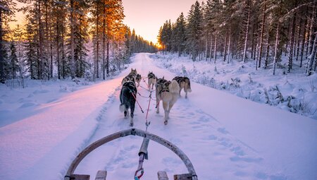 Lappland Safari