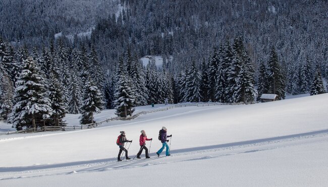 Gschnitztaler Winterwandern