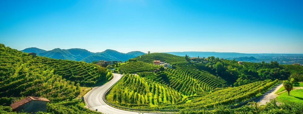 Wanderwoche in den Prosecco-Hügeln