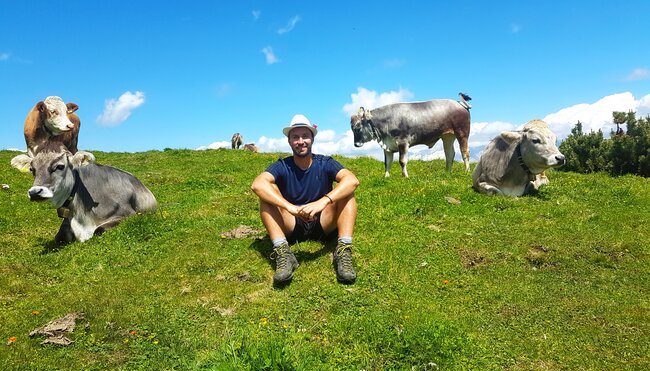 Wanderguide Bernhard zwischen Kühen auf der Alm