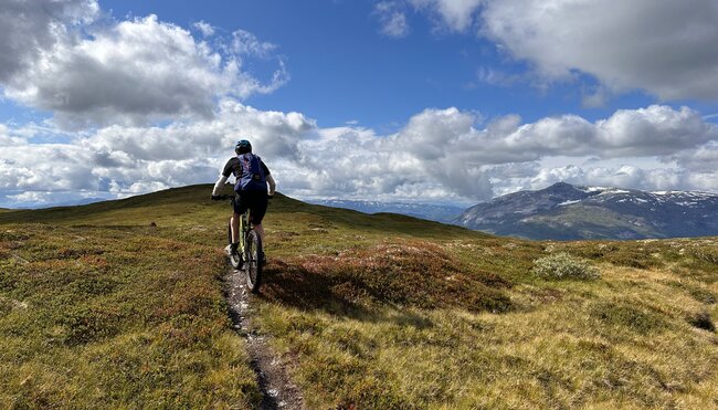 Mountainbiker in Fjordnorwegen