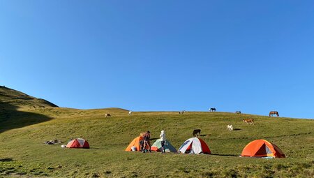 Tusheti