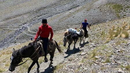 Tusheti