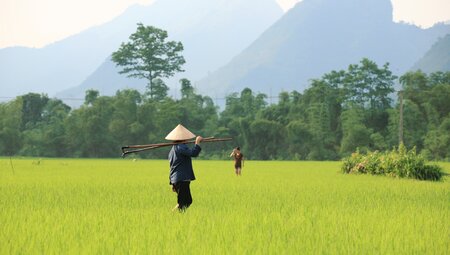 Vietnam - Rund um die bezaubernde Landschaft von Sapa 