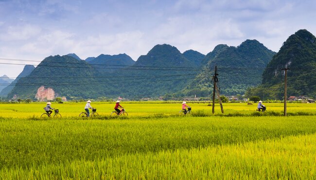 Fünf Frauen auf dem Rad zwischen Reisfeldern in Lang Son