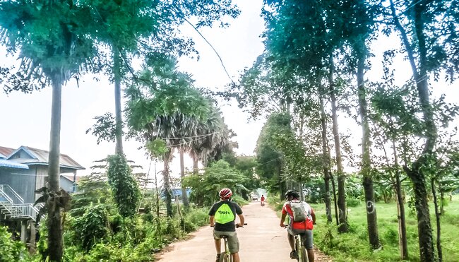 Radfahrer in Kambodscha zwischen Palmen