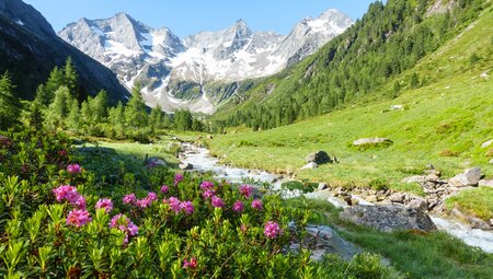Alpenüberquerung vom Tegernsee nach Sterzing für Singles und Alleinreisende