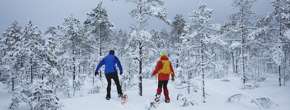 Schneeschuhwanderer in Estland