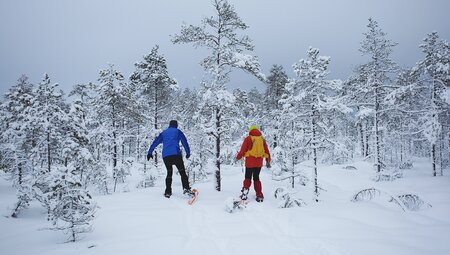 Schneeabenteuer und Yoga in Estland