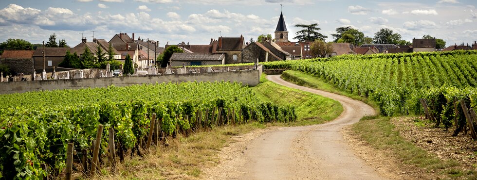 Straße zum Weindorf Vosne Romanneé, Burgund