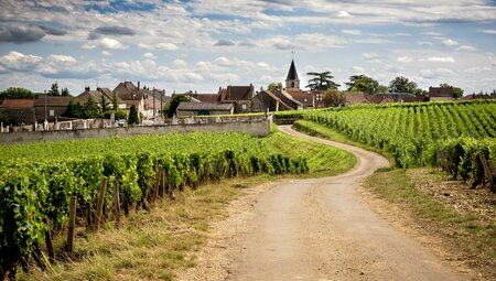Weinwanderwege im Burgund von Dijon bis Meursault